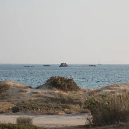 酒店 Sundunes Naxos