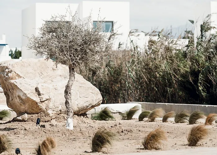 Hotel Sundunes Naxos *